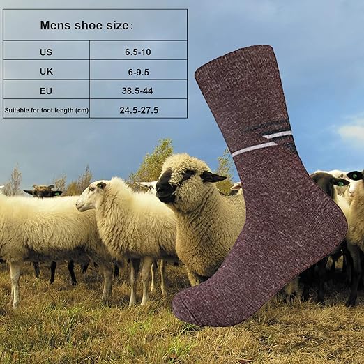 Men's 4 Pack Warm Wool Socks Thick Thermal Cushion Winter Crew Dress Socks for Cold Weather